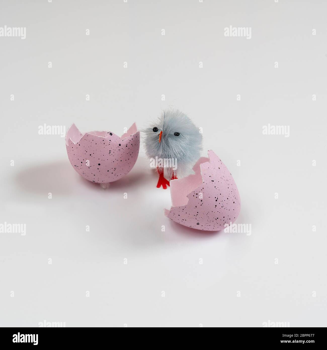 colored easter eggs with little chicks on a white surface Stock Photo