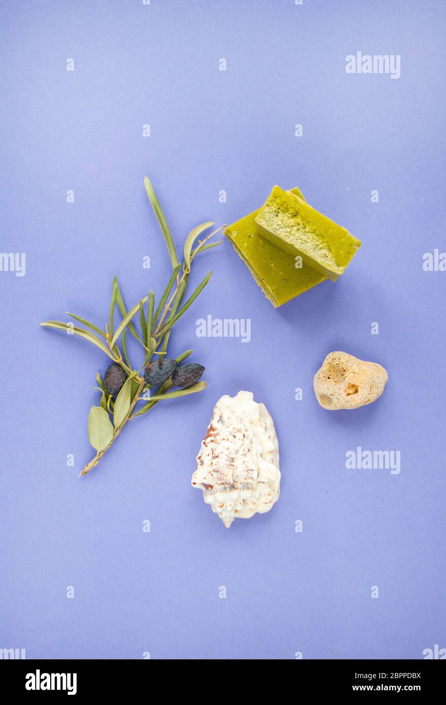 Flat lay of an olive branch, handmade olive soap bars and sea shells on purple background. Stock Photo