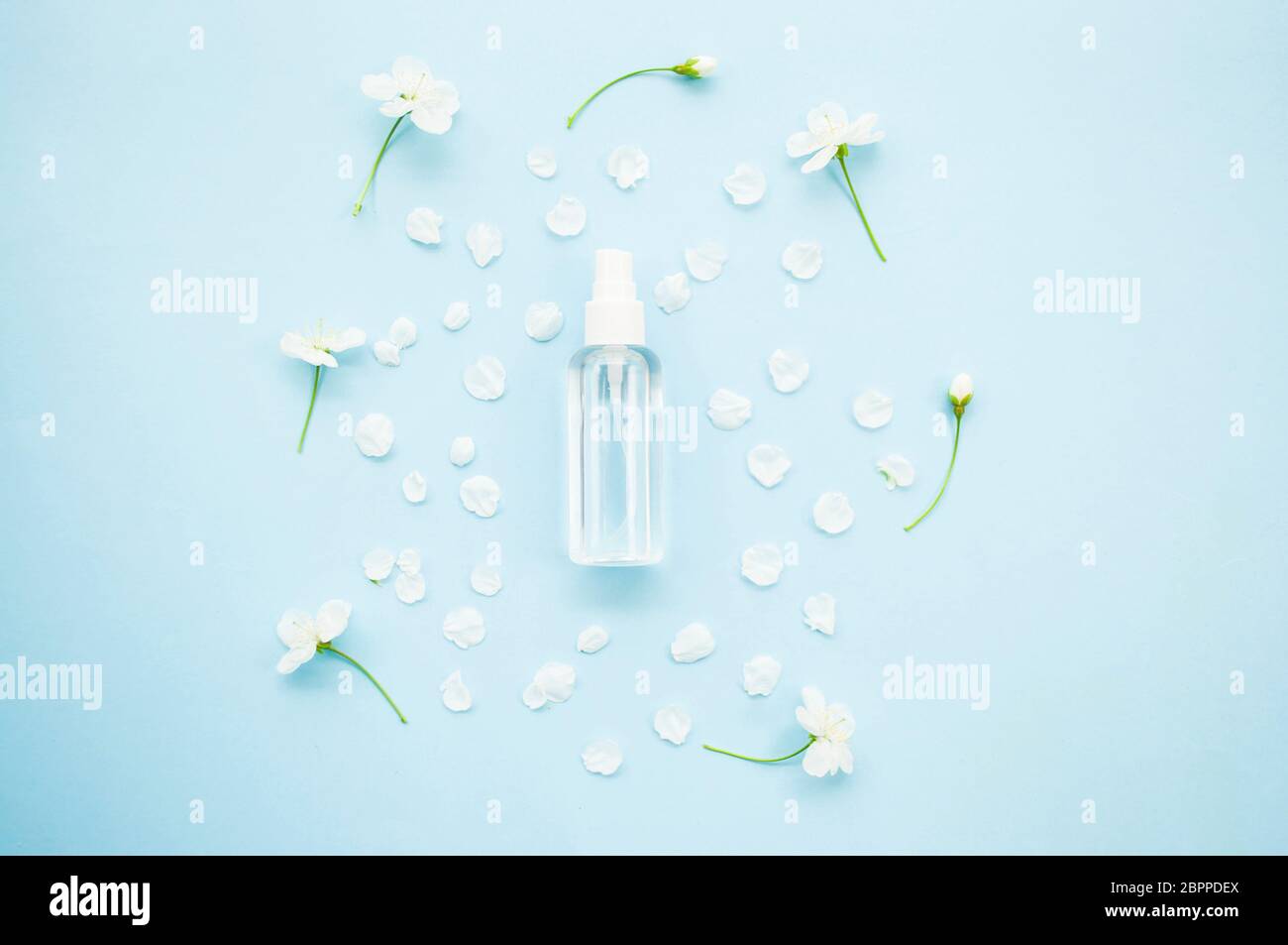 Hand antiseptic in spray bottle and beatiful blooming cherry tree flowers and fresh green leaves on blue background. Stop coronavirus concept. Stock Photo