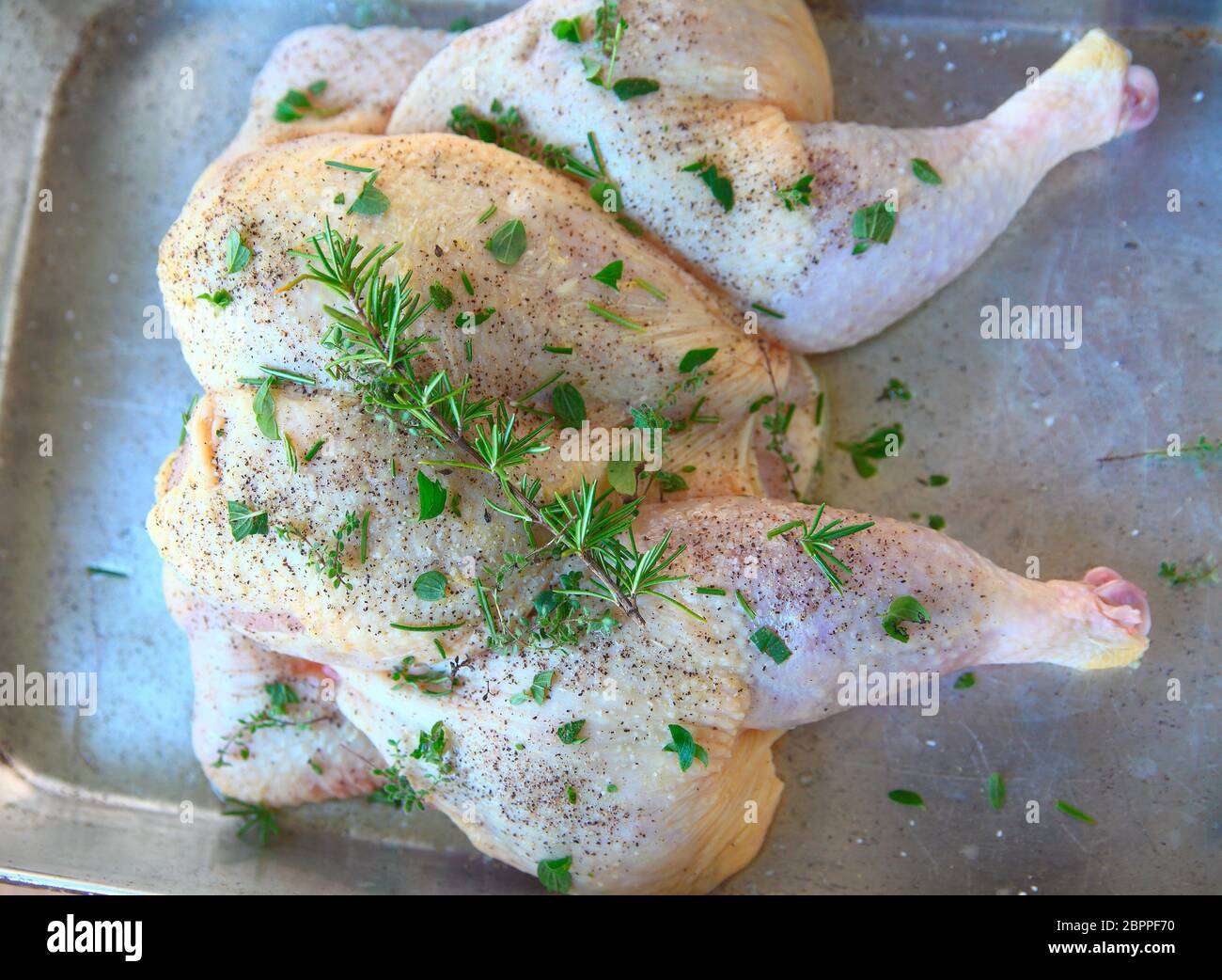 Overhead view of raw chicken butterflied and seasoned with fresh herbs Stock Photo