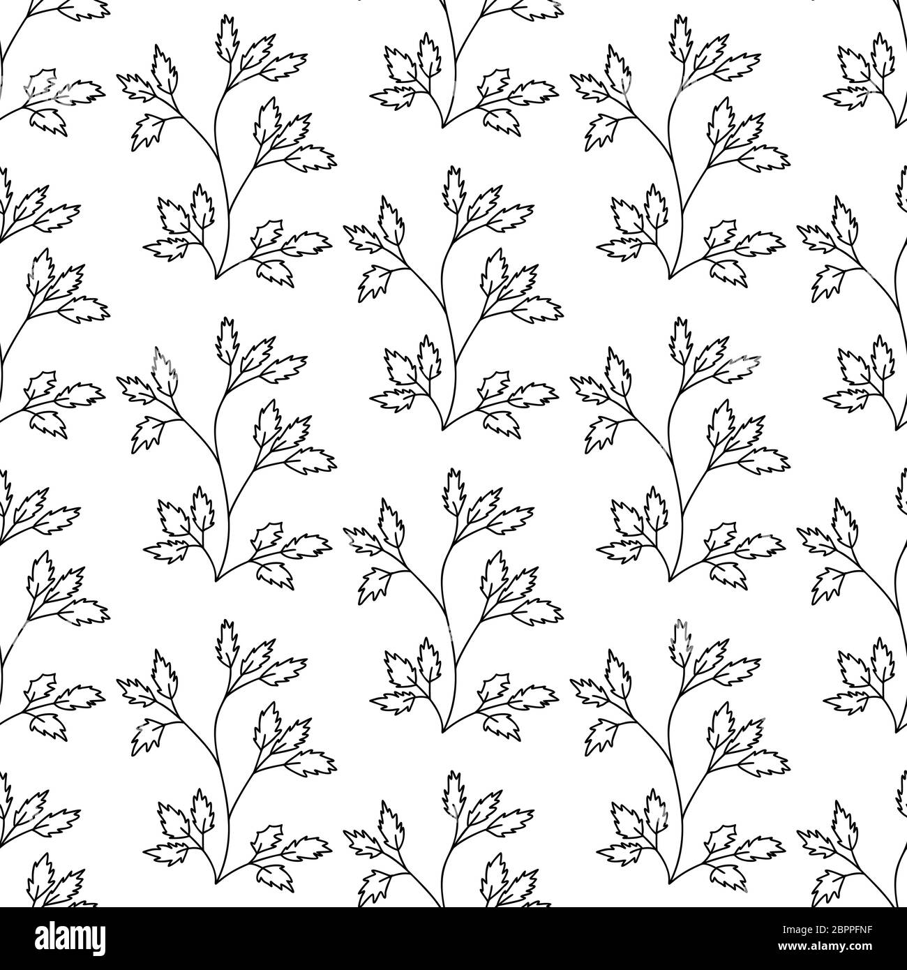 Floral seamless pattern. Isolated on white background. Vector stock ...
