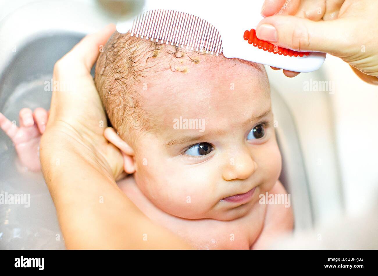 Cradle cap comb removing bathe Stock Photo Alamy