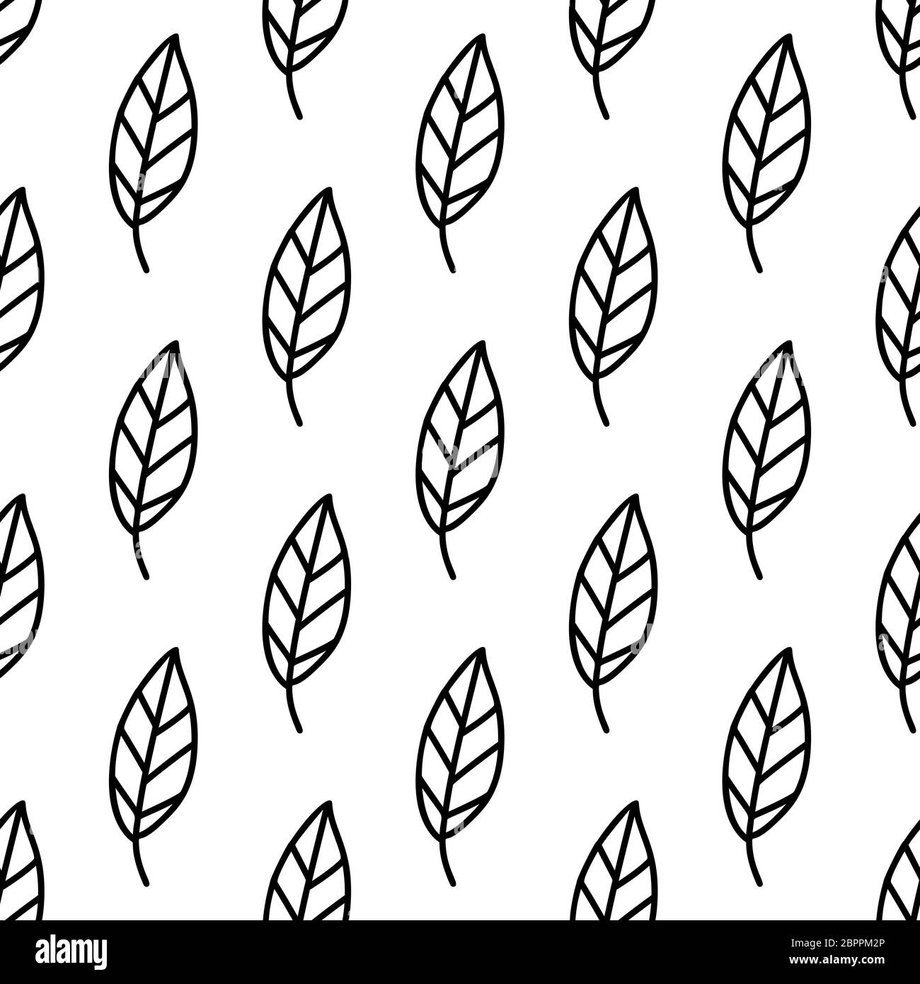 Floral seamless pattern. Isolated on white background. Vector stock ...