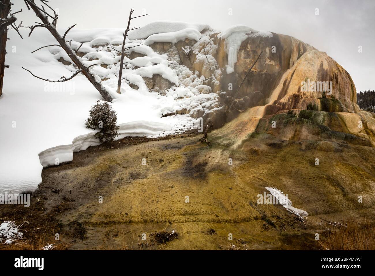 WY04454-00....WYOMING - Foggy morning at Orange Mound in the Upper Terrace area of Mammoth Hot Springs at Yellowstone National Park. Stock Photo