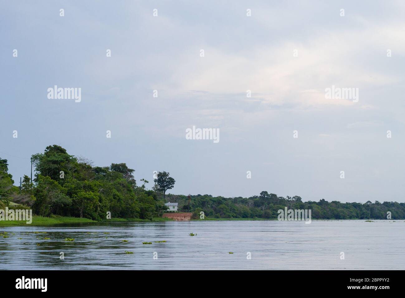Panorama from Amazon rainforest, Brazilian wetland region. Navigable ...