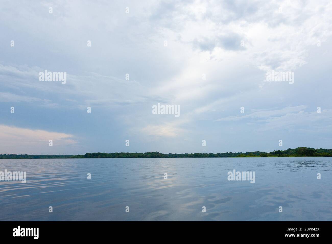 Panorama from Amazon rainforest, Brazilian wetland region. Navigable ...