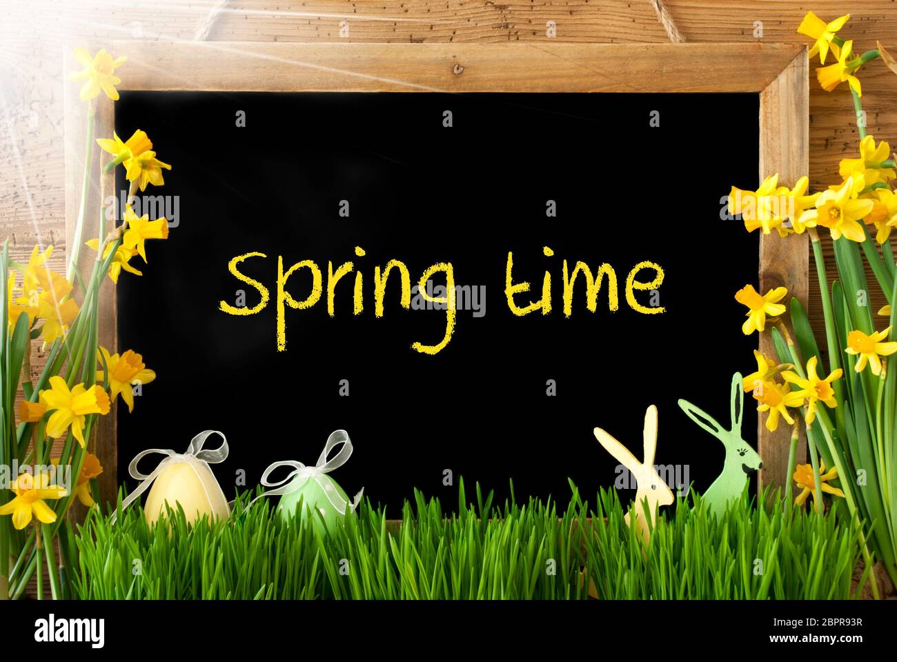 Blackboard With English Text Springtime. Sunny Spring Flowers Nacissus Or Daffodil With Grass, Easter Egg And Bunny. Rustic Aged Wooden Background. Stock Photo