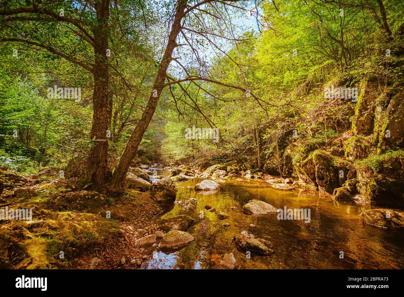 Western Rhodopes The Devin River Valley in the Western Rhodopes Stock Photo - Alamy