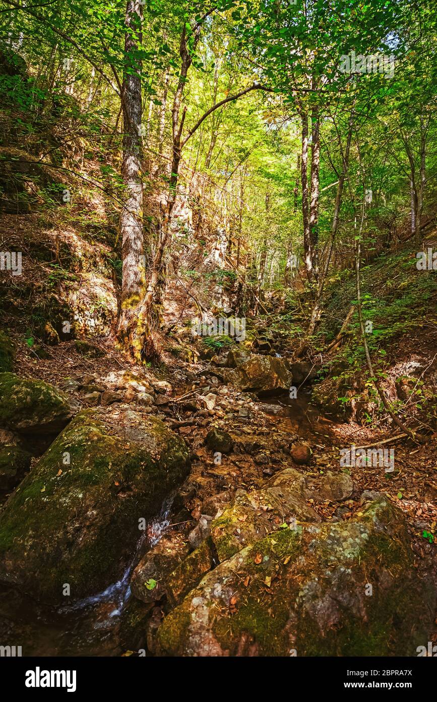Western Rhodopes The Devin River Valley in the Western Rhodopes Stock Photo - Alamy