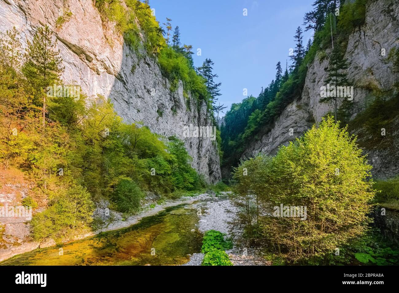 Western Rhodopes Western rhodopes hi-res stock photography and images - Alamy