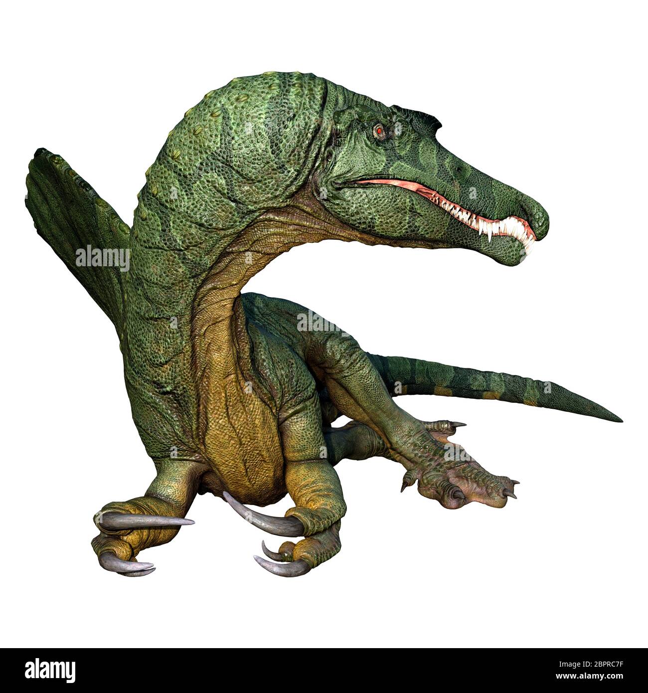 3D Rendering Of A Dinosaur Spinosaurus Isolated On White Background 3D Rendering Of A Dinosaur Spinosaurus Isolated On White Background