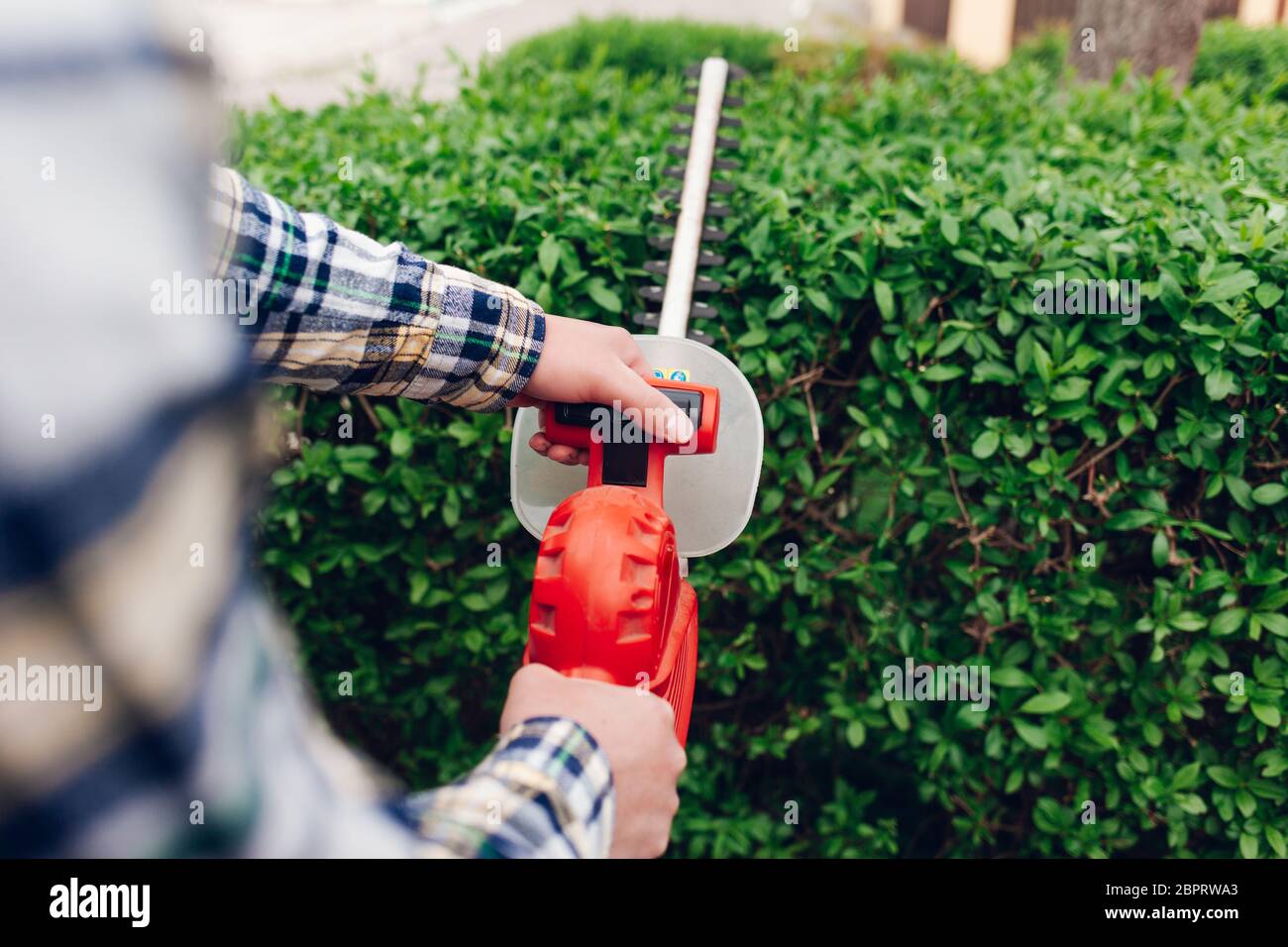 Man cuts hedges with a brush cutter. Bush hedging process Stock Photo