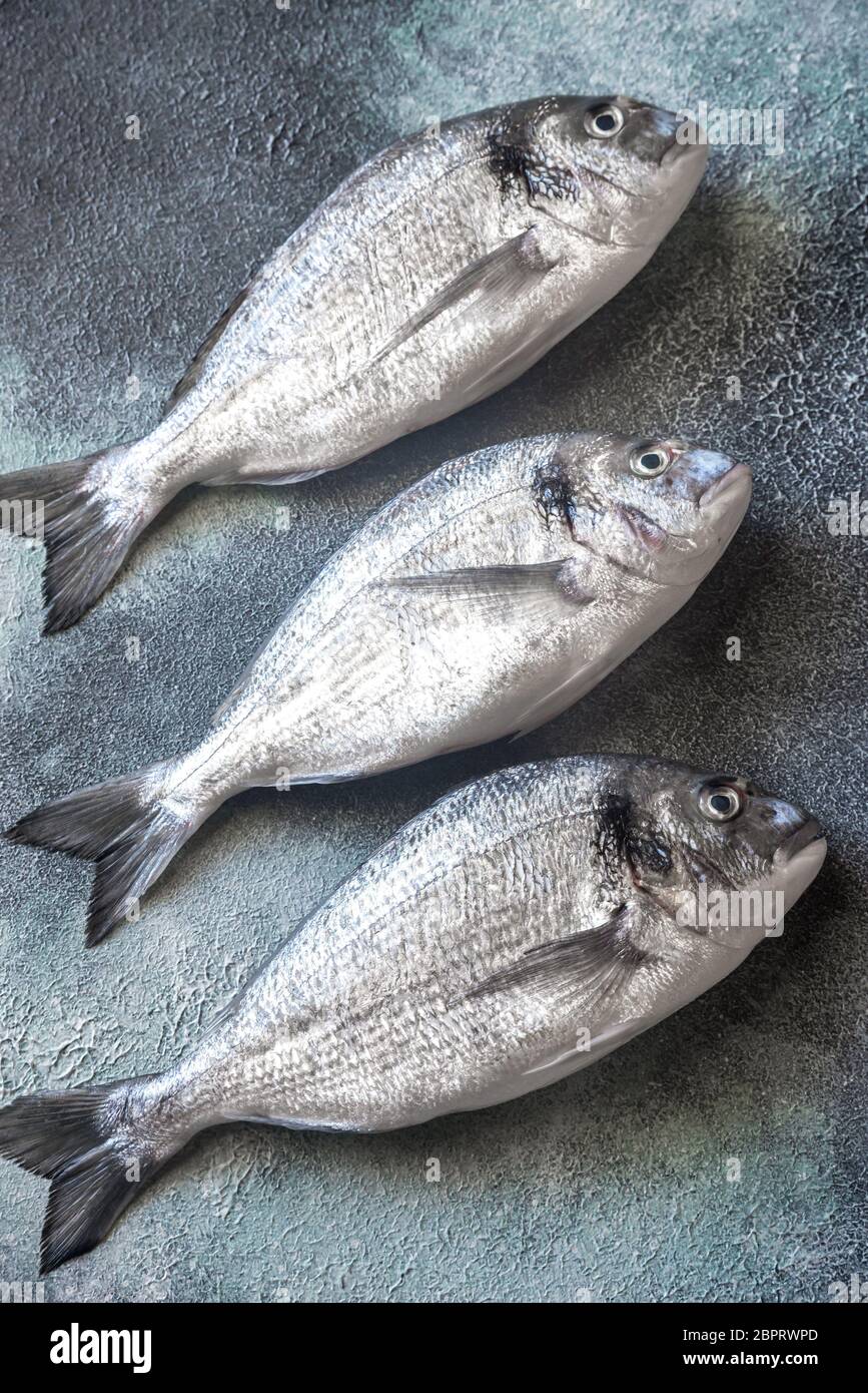 Sea bream (dorada) fish Stock Photo