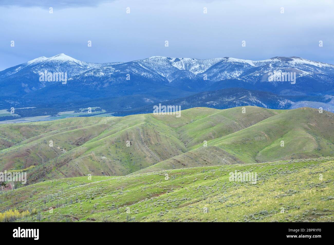 mount baldy in the big belt mountains above foothills near townsend
