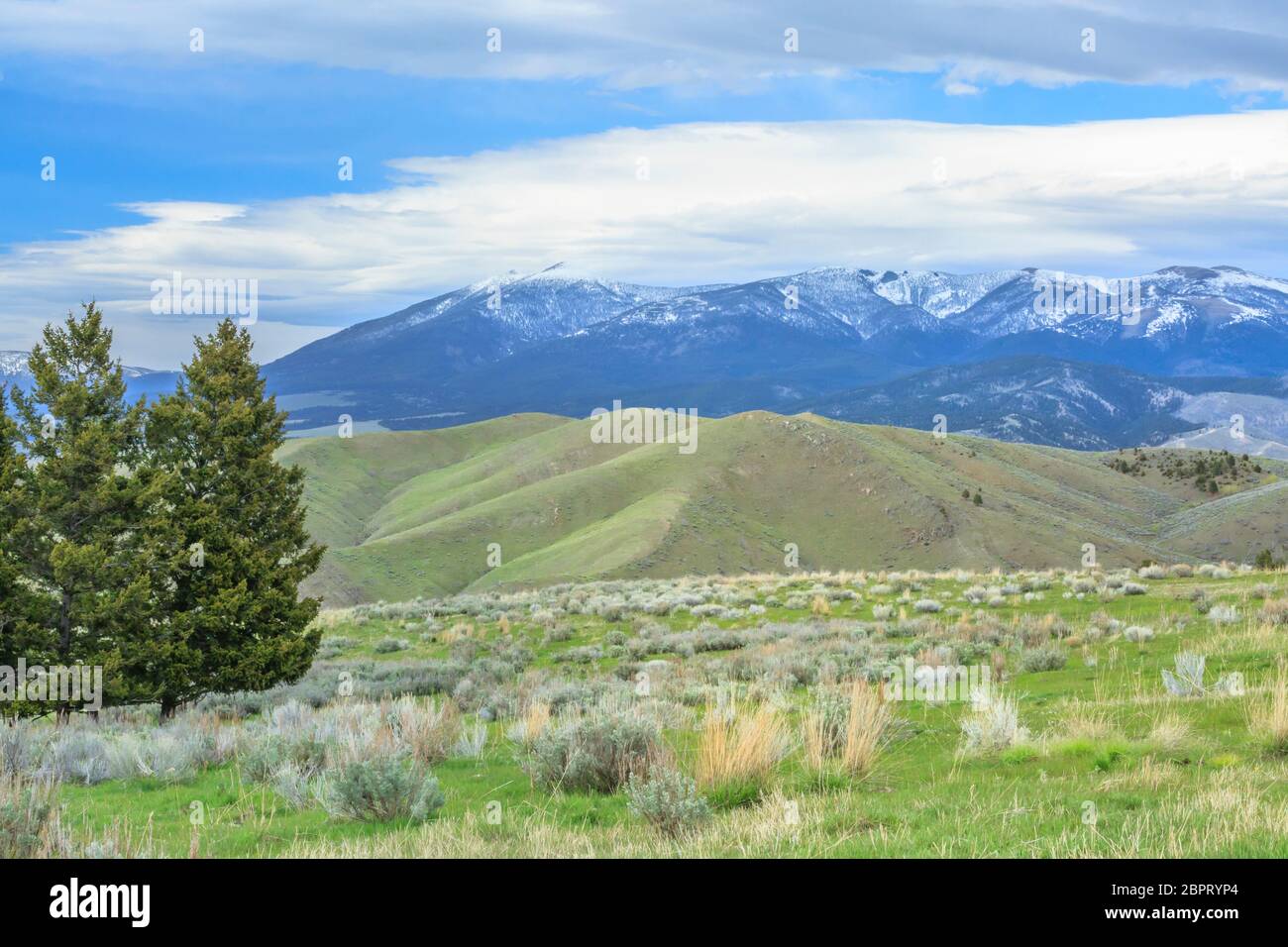 mount baldy in the big belt mountains above foothills near townsend