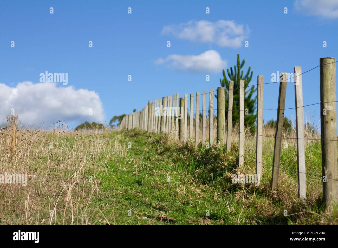 A boundary fence in a rural area Stock Photo Alamy