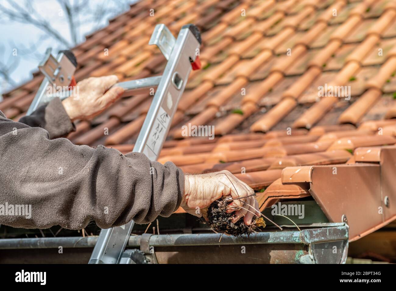 Man on a ladder cleaning house gutters Stock Photo - Alamy