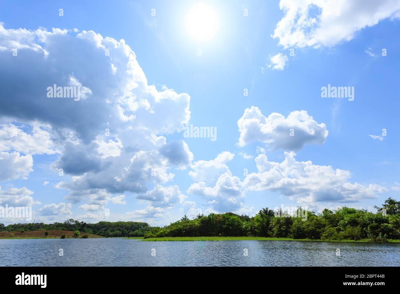 Panorama from Amazon rainforest, Brazilian wetland region. Navigable ...