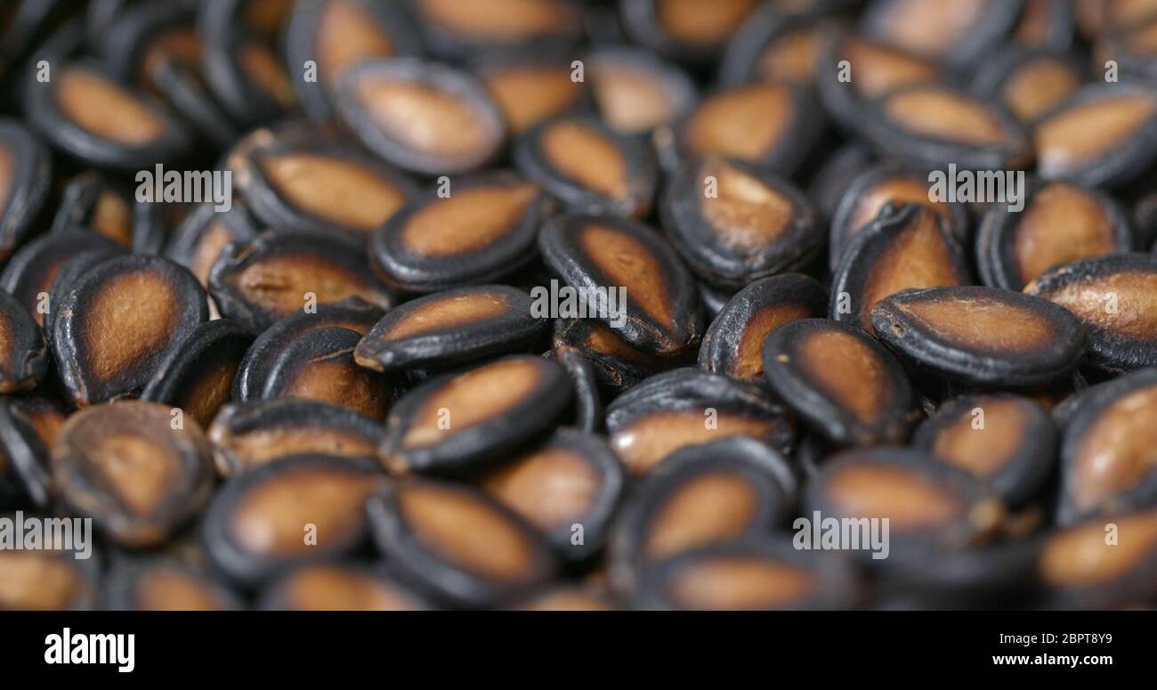 Black watermelon seed for chinese new year Stock Photo Alamy