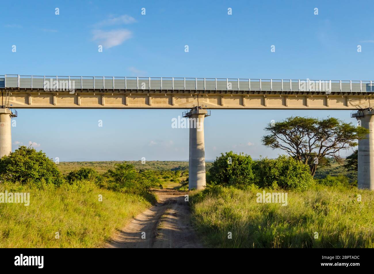 View of the viaduct of the Nairobi railroad to mombassa in the savannah of Nairobi Park in central Kenya Stock Photo