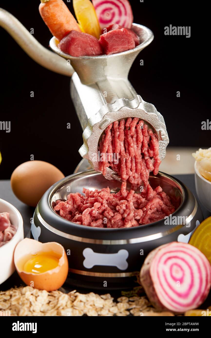 Meat grinder dog hi-res stock photography and images - Alamy