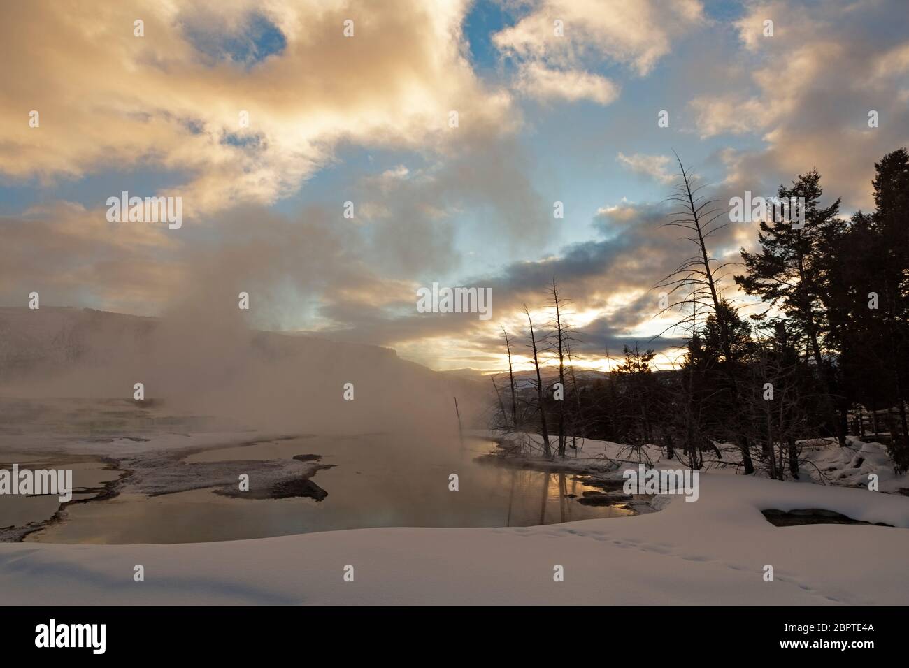 WY04470-00...WYOMING - Sunrise viewed from the hot spring pool at the top of Canary Spring at Mammoth Hot Springs in Yellowstone National Park. Stock Photo