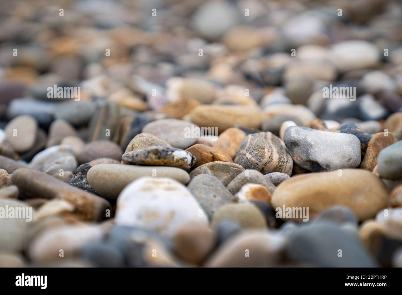 Pebble Rocks Between A close up of a rock and pebbles Stock Photo - Alamy
