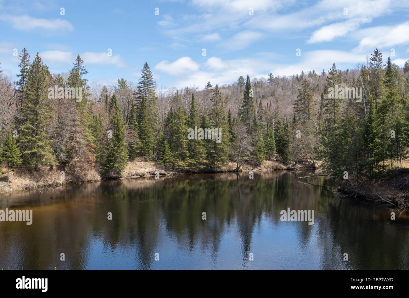 Forest scenery reflected in still blue water iof the Big East River n