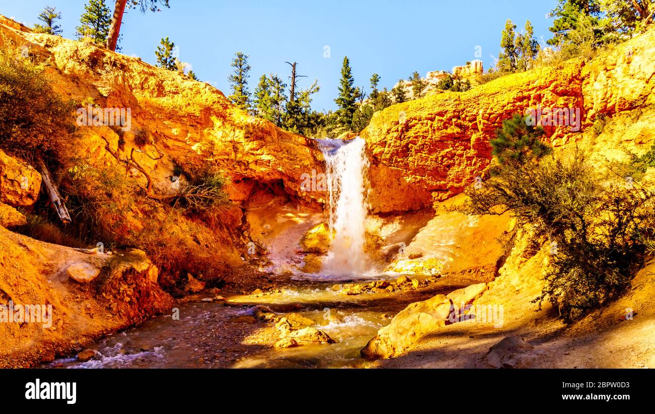 Tropic Ditch Falls as it drops over the vermilion colored rocks at the