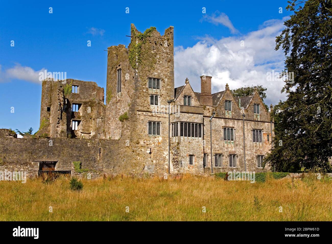 Ormonde Castle, Carrick-on-Suir, County Tipperary, Ireland Stock Photo