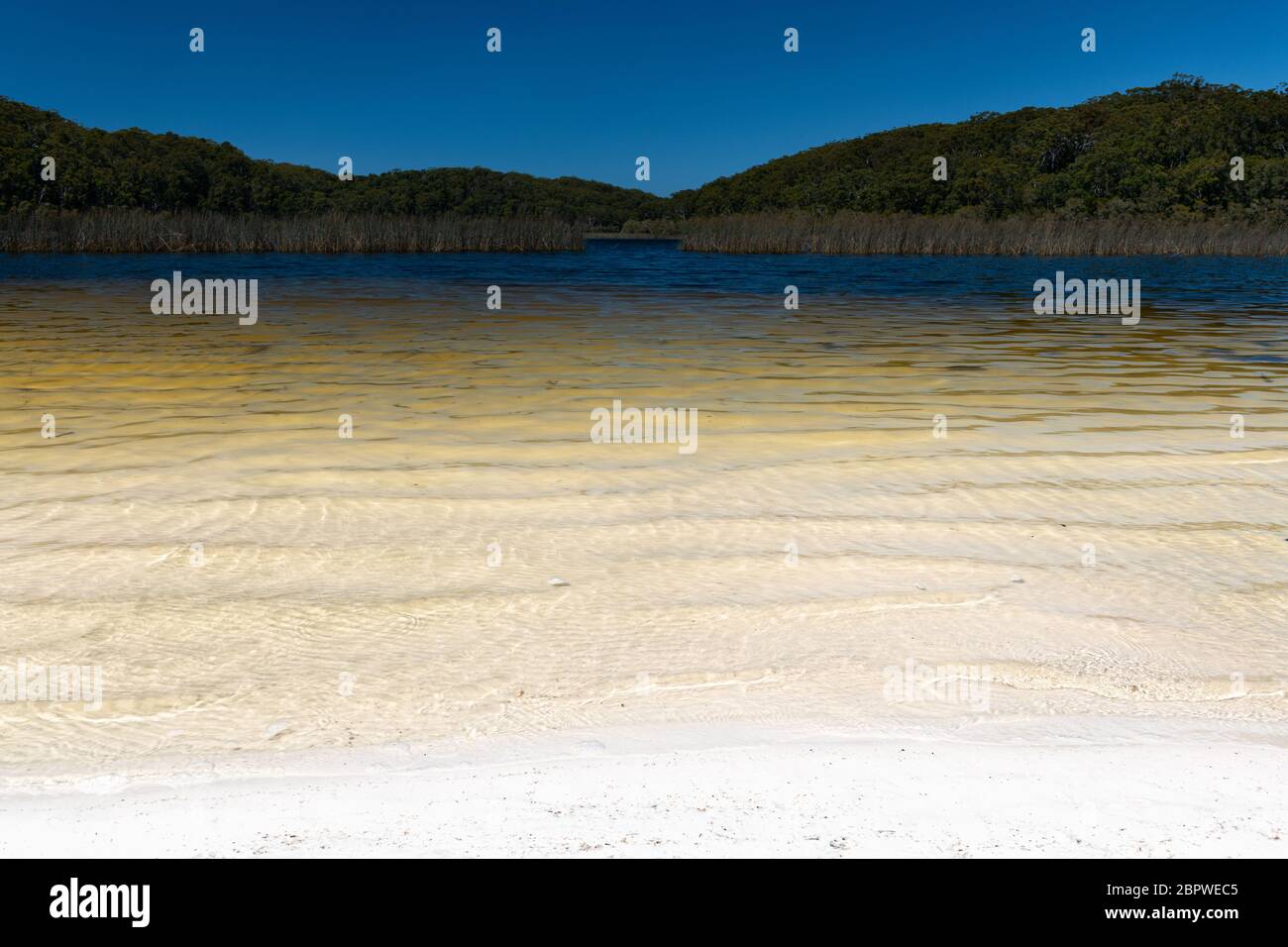 Lake Garawongera is one of Fraser Island's inland freshwater lakes. Stock Photo