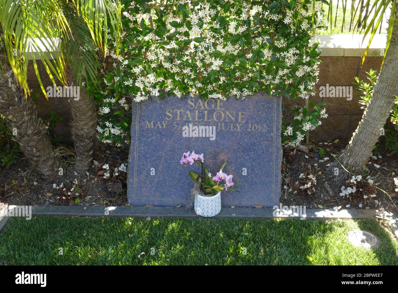 Los Angeles, California, USA 19th May 2020 A general view of atmosphere