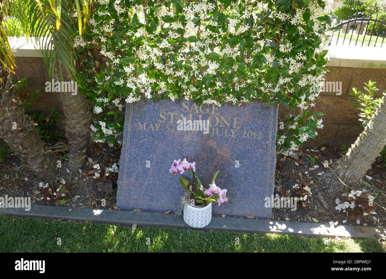 Sage Stallone Grave