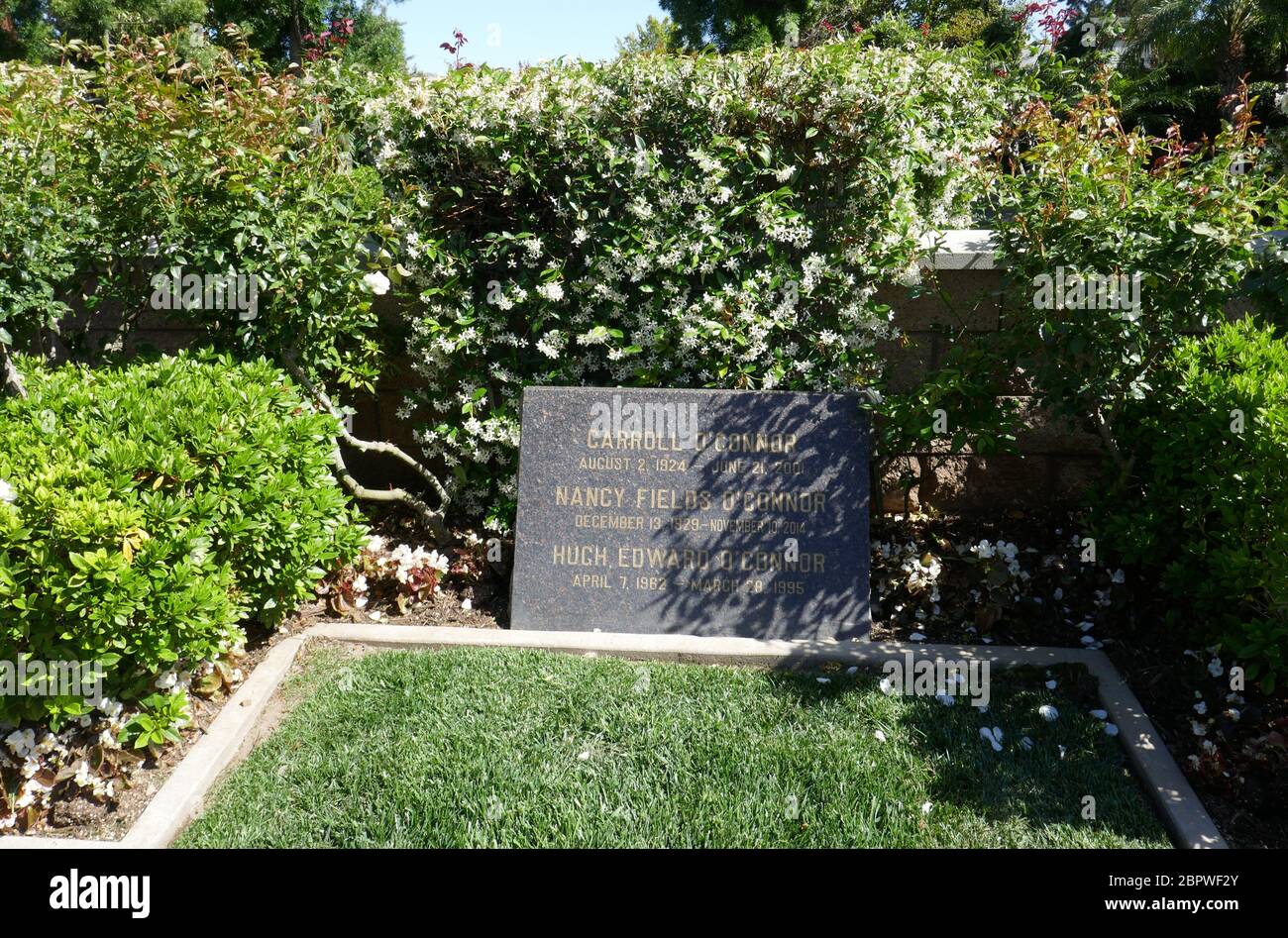 Los Angeles, California, USA 19th May 2020 A general view of atmosphere of Carroll O'Connor's grave at Pierce Brothers Westwood Village Memorial Park on May 19, 2020 in Los Angeles, California, USA. Photo by Barry King/Alamy Stock Photo Stock Photo