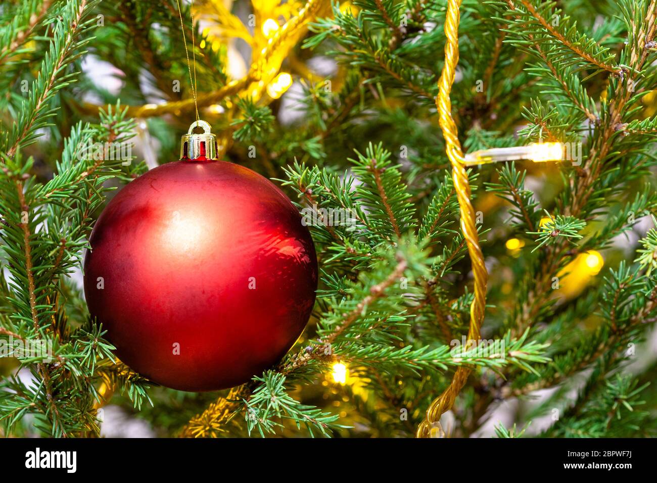 red ball and light string on twigs of natural christmas tree close-up ...