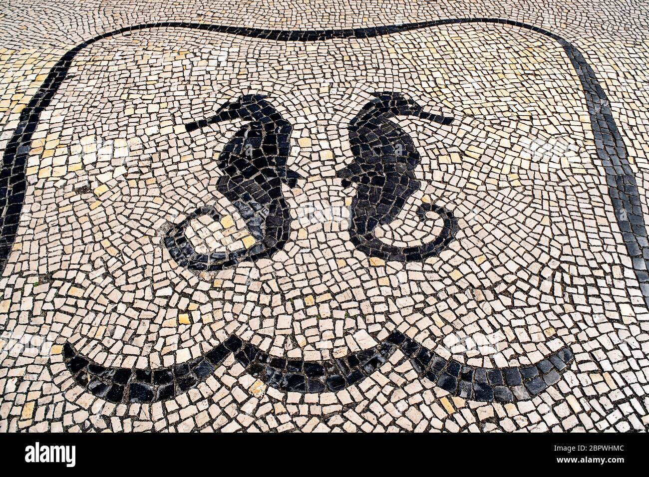 Portuguese pavement with seahorse motif in Aveiro, Portugal Stock Photo