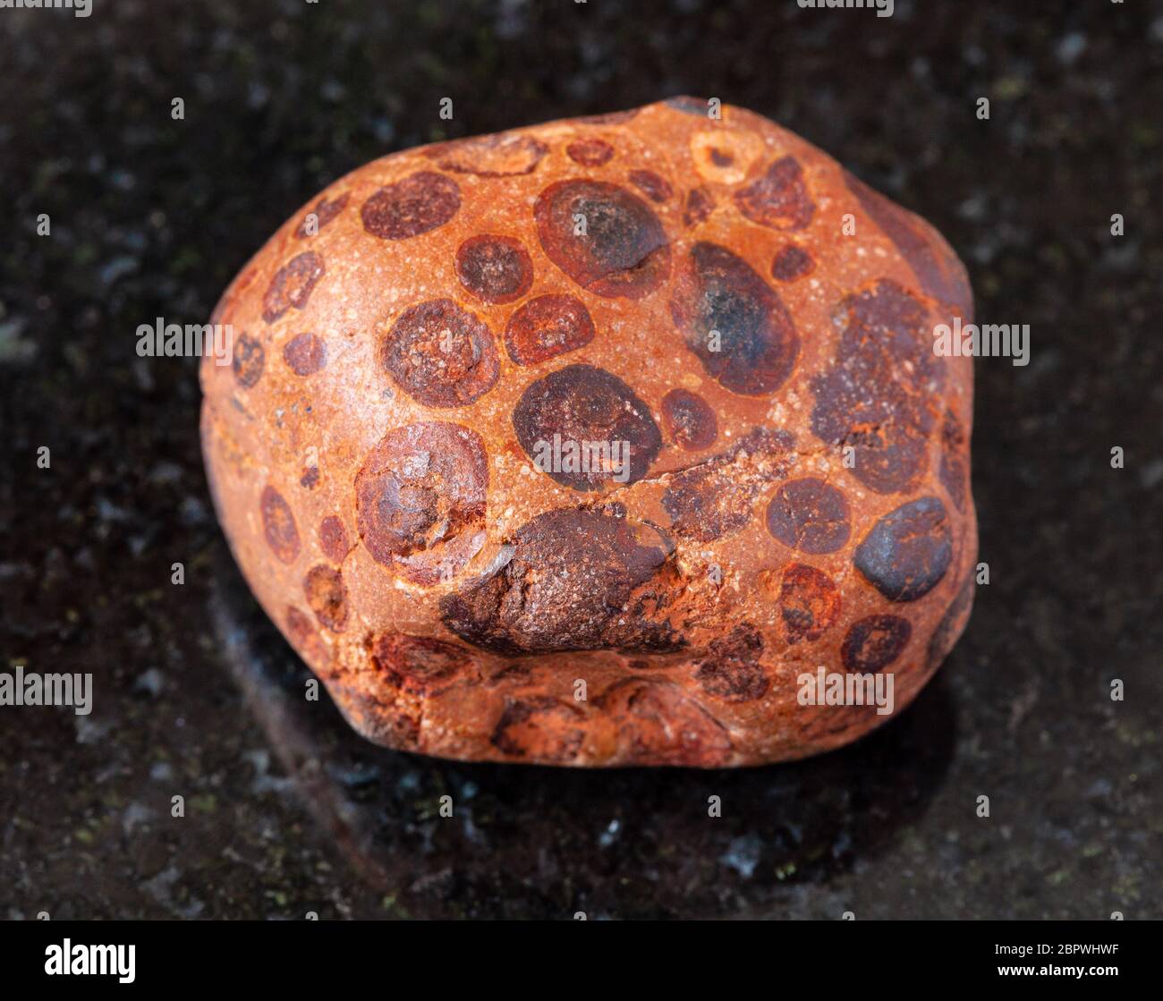 Arkalyk High Resolution Stock Photography and Images - Alamy