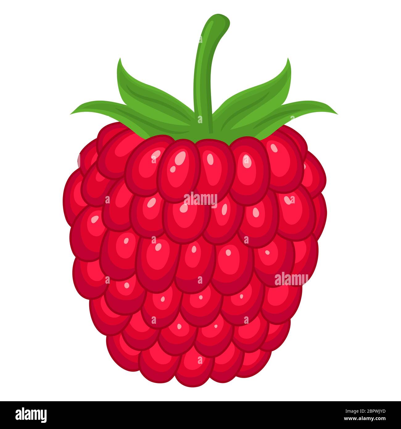 Single Cartoon Raspberry Fruit Fresh bright exotic whole raspberry isolated on white background ...