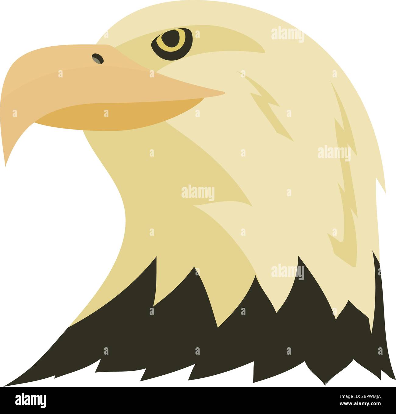 Bald eagle head portrait from a splash of watercolor, colored drawing,  realistic. Vector illustration of paints Stock Vector Image & Art - Alamy