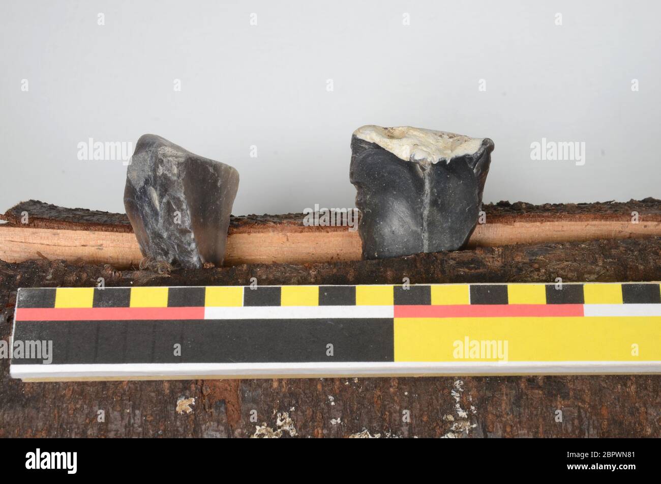 Two early stone age flint cores, used for their intentional purpose. They are likely manufactured circa 7000 years ago. The scale is in centimeters. Stock Photo