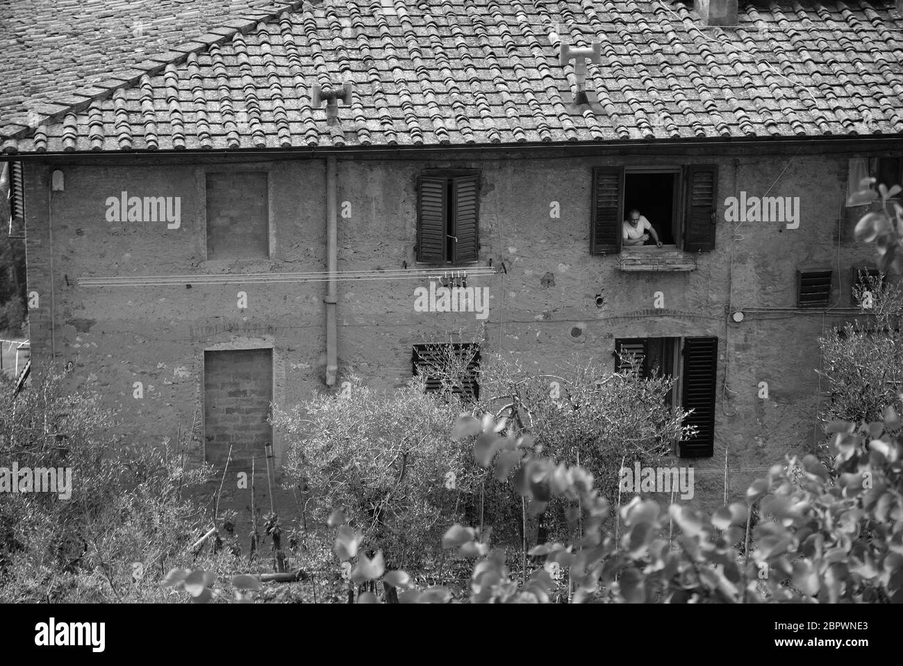 Man lookung out of window, San Gimignano, Tuscany, Italy Stock Photo