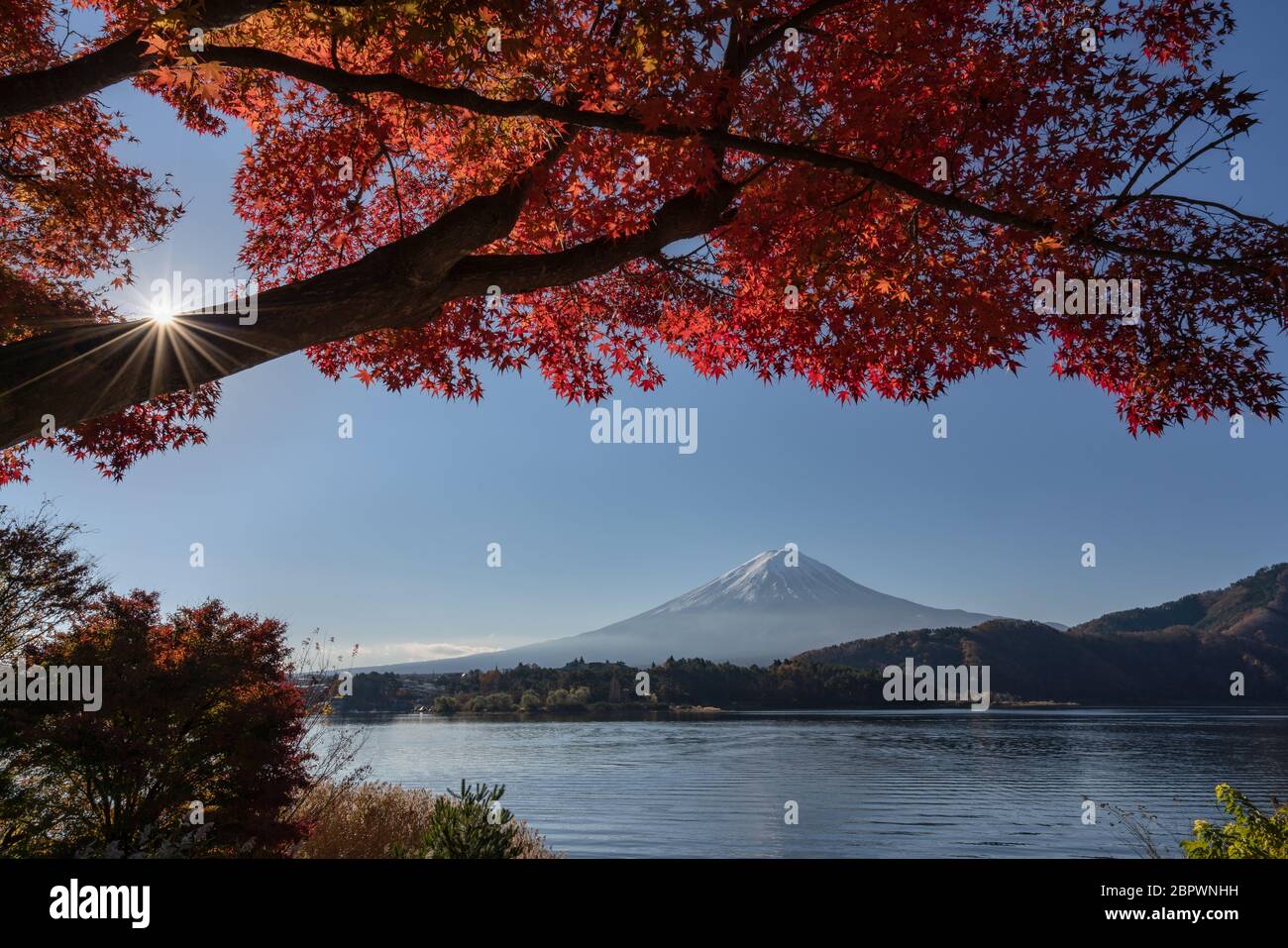 Taken at Lake Kawaguchi during Autumn with Mount Fuji in the background ...