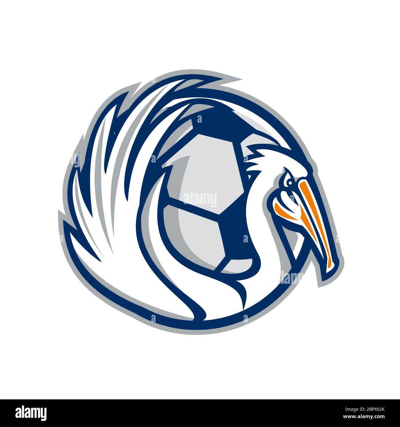 Illustration of a pelican showing its wings with soccer football ball in the background viewed from the side done in retro style. Stock Photo