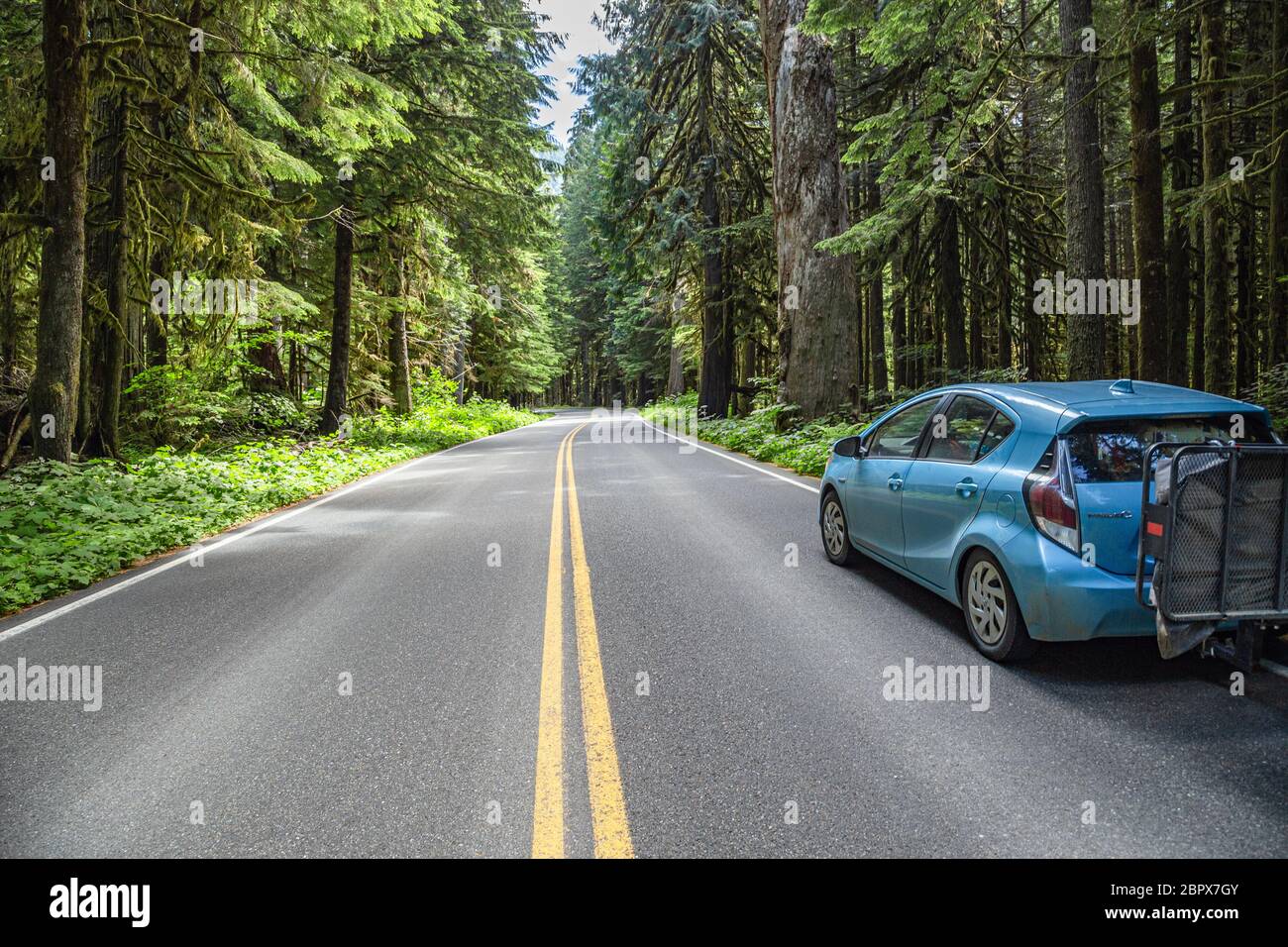 Mount Rainer Driving Driving through Mount Rainier National Park, Washington Stock Photo - Alamy