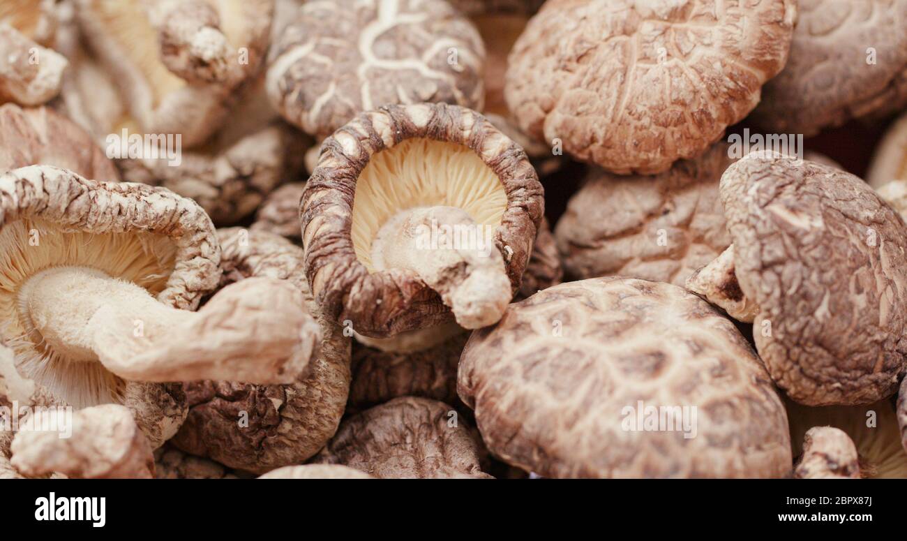 Chinese Dry mushroom Stock Photo Alamy