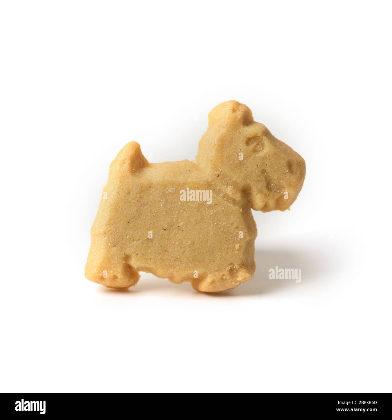 Scottish shortbread biscuit shaped like a highland terrier dog Stock Photo