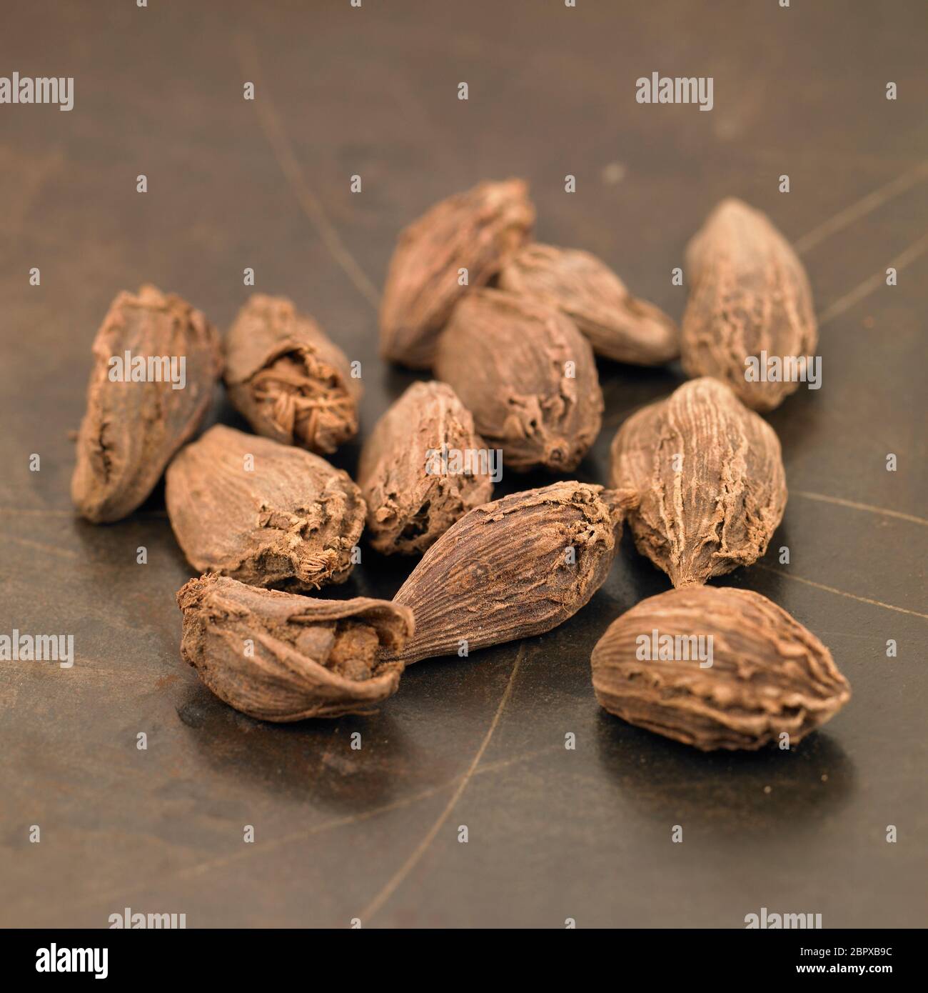 Whole black cardamom pods in closeup on a dark background, a spice used