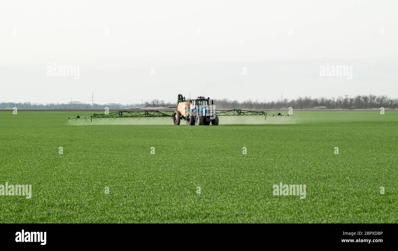 Tractor with high wheels is making fertilizer on young wheat. The use of finely dispersed spray chemicals. Tractor with a spray device for finely disp Stock Photo