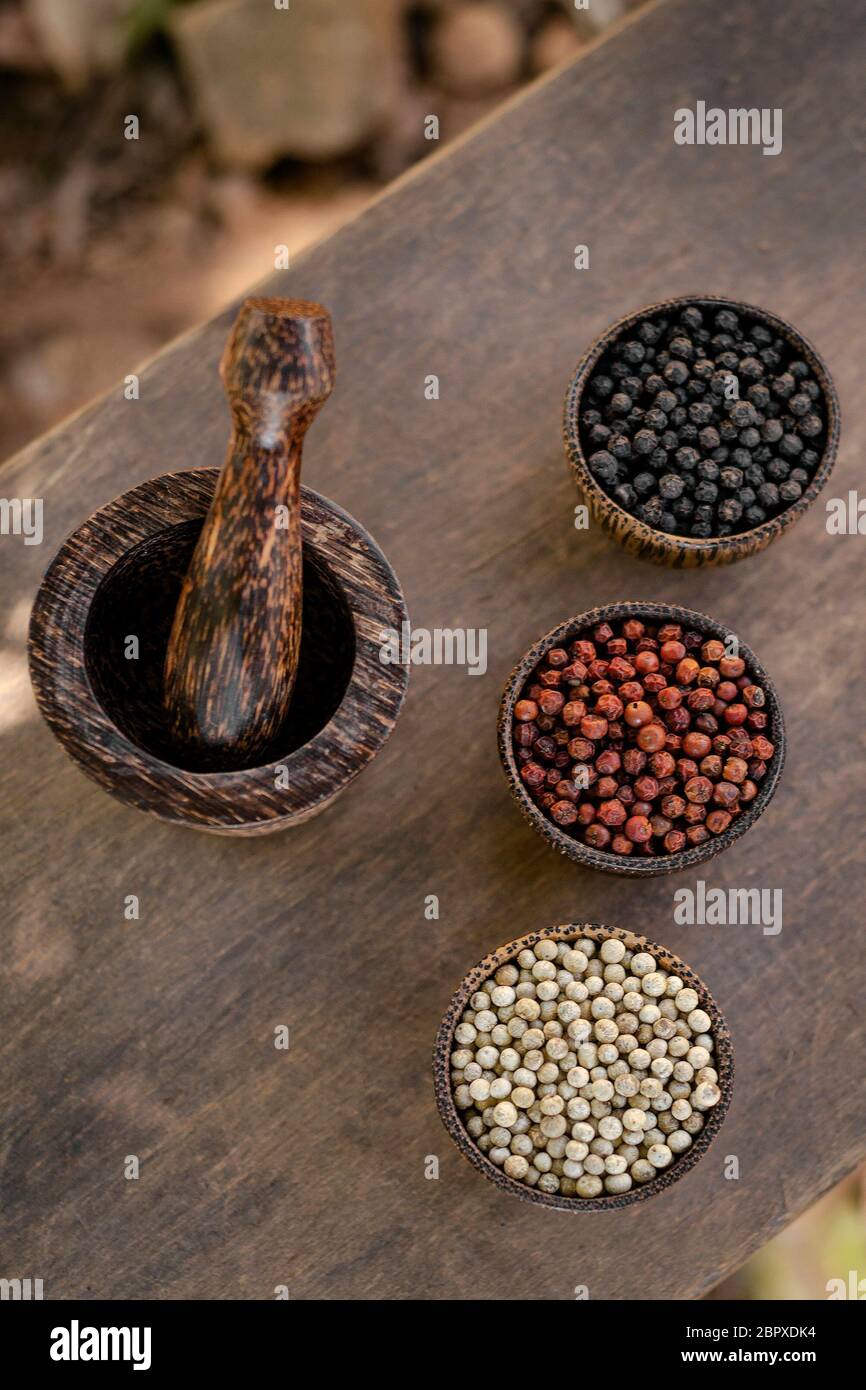 Organic kampot white red and black pepper corns in natural rustic style