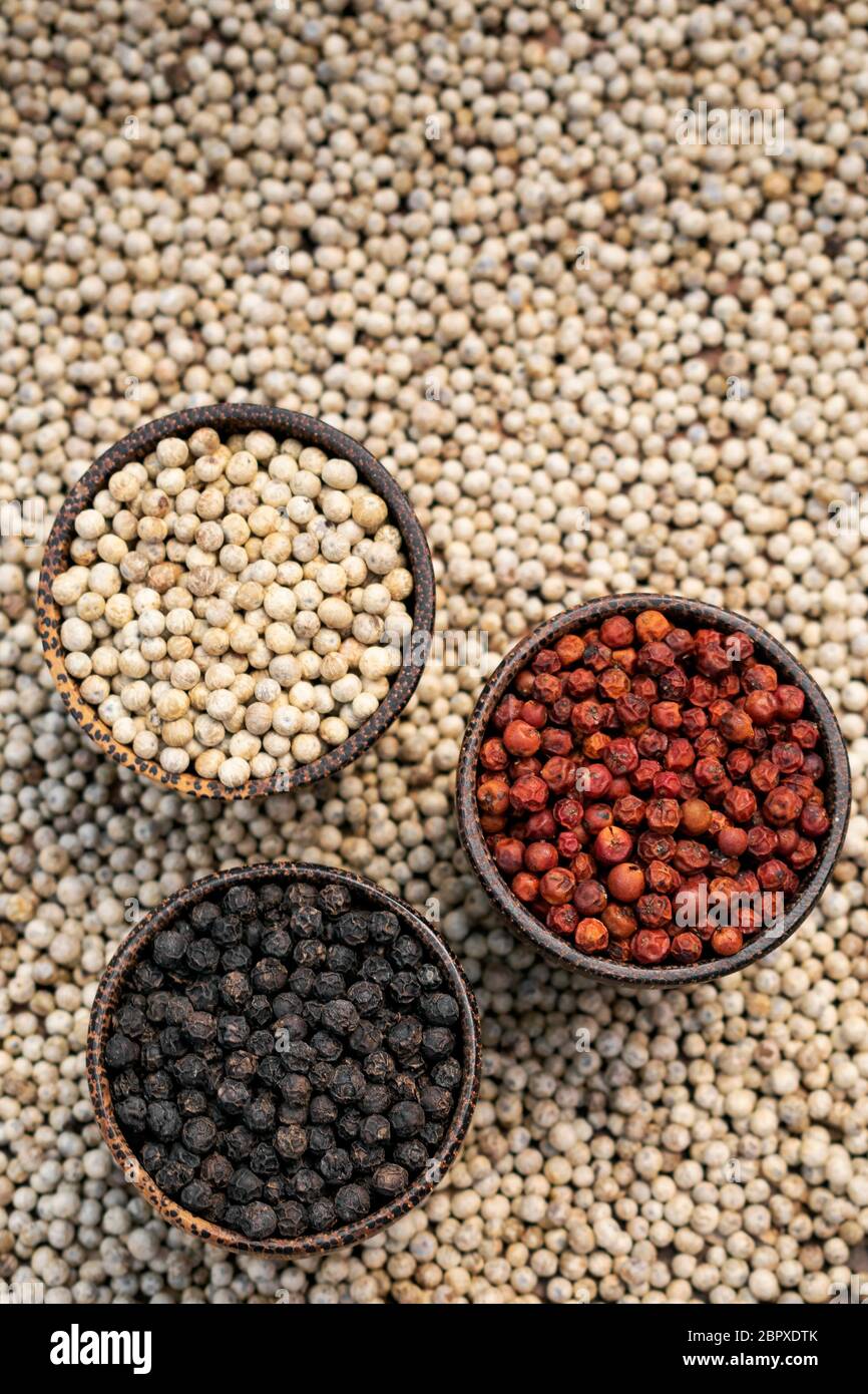 Organic kampot white red and black pepper corns in natural rustic style